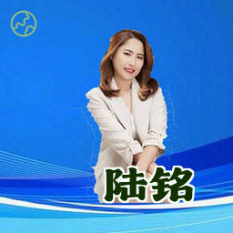 陆铭